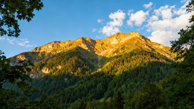 Steep alpine mountain peak and dense evergreen forest illuminated by intense golden hour sunlight framed by dark green tree branches. photo