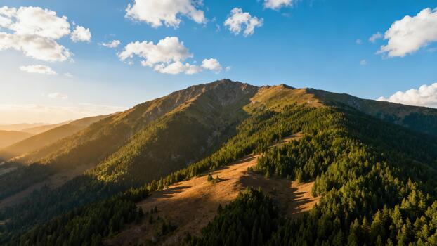 Golden hour sunlight illuminating steep alpine mountainside slopes densely covered with dark green coniferous forest and scattered patches of yellow grass. photo