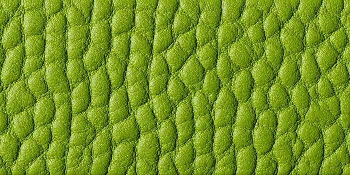 Close up of green textured natural leather Fabric Leather folded and luminated under moving Light, making epic amazing shadows on textured background. photo