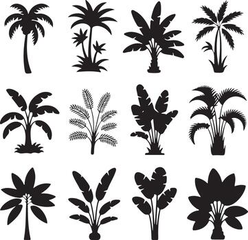 Silhouette of a tall pine tree with spreading branches vector