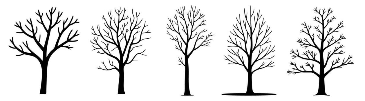 Collection of five distinct bare tree silhouettes, showcasing various branching patterns and natural forms, perfect for design projects vector