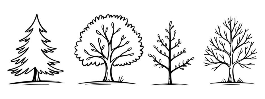 A collection of hand drawn tree outlines, featuring diverse tree types such as a tall evergreen, a full leafy deciduous tree, a budding spring tree, and a bare winter tree, all vector