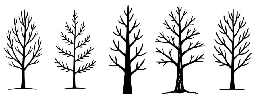 un diverso colección de desnudo árboles, presentando varios siluetas y intrincado rama estructuras, ideal para representando invierno, otoño, o latente estaciones vector