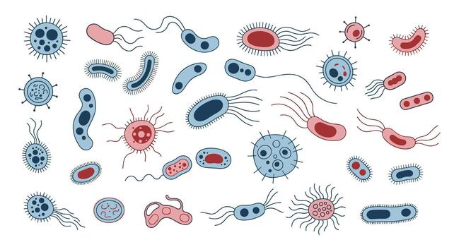 A collection of diverse hand-drawn microorganisms, including bacteria and viruses, in red and blue, illustrating microscopic life and infection. vector