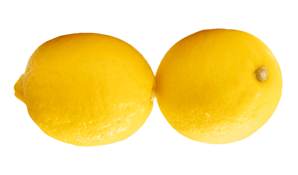 Two whole fruits of ripe yellow lemon with water droplets in stack isolated with clipping path in file format png