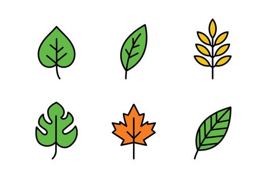 Botanical Icons Collection Six different plants leaf design elements vector