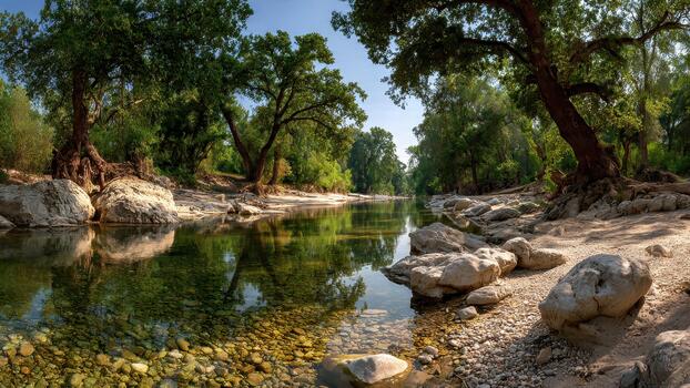 Clear river flowing through a shaded forest with large exposed tree roots and sunlit rocks photo