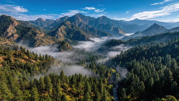 Towering mountain range overlooks forested canyon with morning fog settling over evergreen trees photo