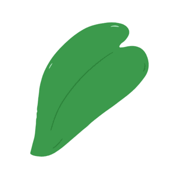 Hand Drawn Heart Shaped Green Leaf Illustration png