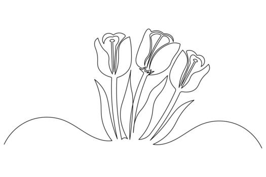 Simple outline illustration of tulip continuous single line drawing vector