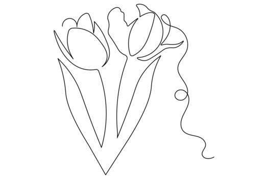 Tulip flowers continuous line drawing minimalist style isolate outline vector