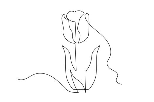 Continuous line drawing of tulip flower icon minimalist style isolate vector