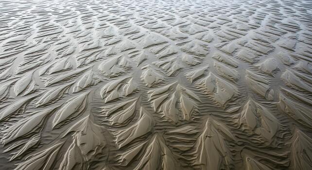 Mesmerizing sand patterns sculpted by the rhythmic flow of tidal waters on a vast beach, showcasing nature's abstract artistry and intricate textures under the radiant glow of a sunny day photo