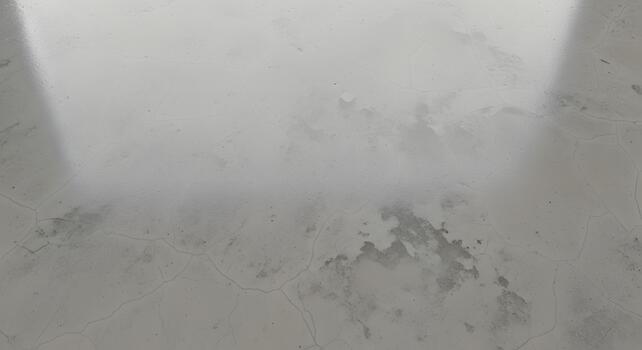 Abstract grey and white textured surface with subtle cracks and organic patterns, offering a minimalist and sophisticated backdrop photo