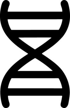 Simple Handdrawn Outline DNA Double Helix Structure Science Icon vector