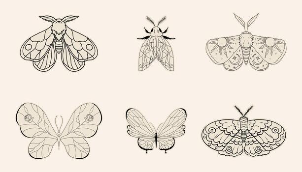 Celestial moth set, butterfly line magic mystical tattoo. Universe wing moth. Celestial occult moon sketch. Line animal drawing design. Esoteric totem boho insect with space wings. vector