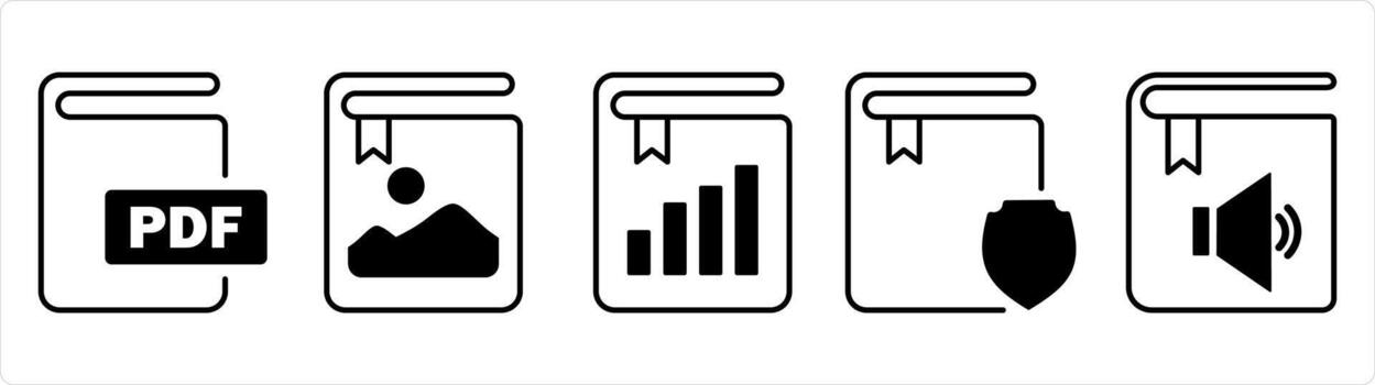 A set of 5 document icons as pdf book, image book, graph book in black line color vector