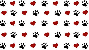 sömlös slinga animering av Tass grafik och röd hjärtan bakgrund. video