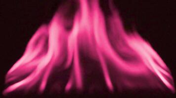 een levendig beeld presentatie van roze vlammen dansen tegen een donker backdrop creëren een betoverend zichtbaar effect video
