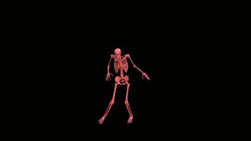 A skeleton with pink bones striking a dynamic pose against a stark black backdrop in a rendered image video