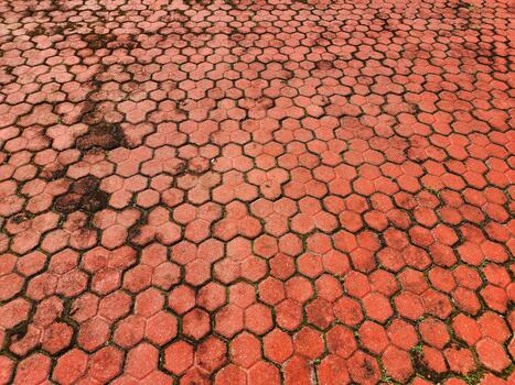 Full Frame View of Red Hexagonal Paving Blocks with Moss and Dirt Texture photo