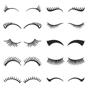 Eyelashes Set Isolated On White Background. Variety Of Lashes In Different Lengths And Styles, Enhancing Eyes vector