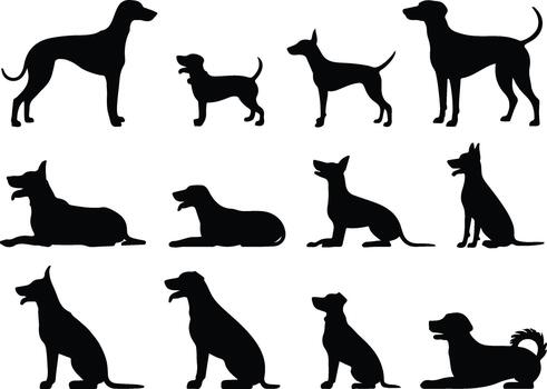 Collection of dog silhouette in different poses set on light gray check pattern vector