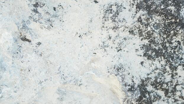 Textured surface of rough stone with a blend of gray and white tones showcasing natural mineral patterns and organic weathering effects photo
