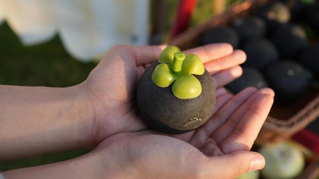 Hands Holding a Unique Black Stone with Green Decorative Elements in a Market Setting Surrounded by More Stones and Natural Background photo