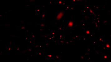 abstrakt dynamisk röd lysande partiklar flytande på mörk bakgrund video