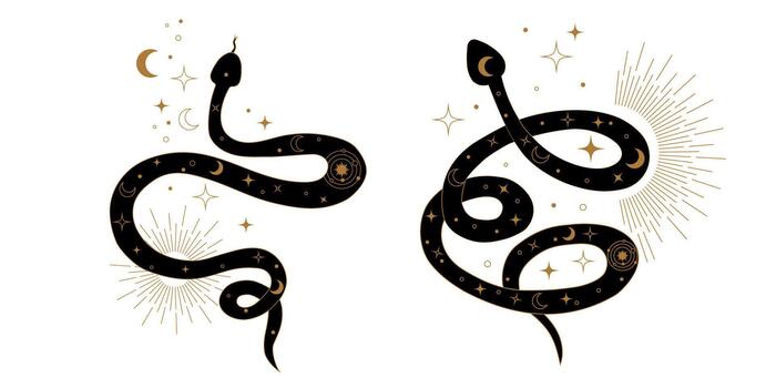 Kundalini serpent set with sacred geometry patterns representing spiritual growth and vitality. Mystical snakes drawn in abstract symbolic style reflecting divine awakening and peace. vector