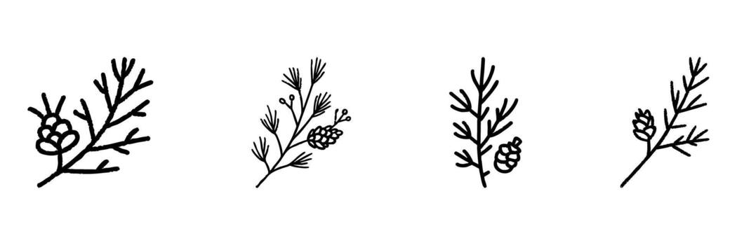 Pine Branches With Cones Line Icon Set In Doodle Style. Nature, Botanical Elements, And Evergreen Foliage Outline Sketch Collection. Hand Drawn Isolated Illustration vector
