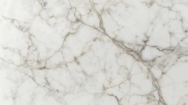 Elegant white marble surface featu intricate gray veining creating a luxurious and sophisticated natural stone pattern for interiors and design. photo