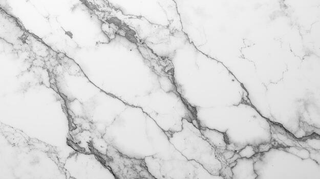 A flawless white marble surface reveals intricate gray veining across the stone creating an elegant and sophisticated textured backdrop for designs. photo