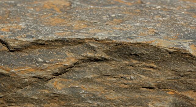 A close up shot reveals the textured surface of a large sedimentary rock with brown and gray hues displaying natural patterns and formations. photo