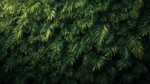 Lush green palm fronds create a dense tropical background with light filte through the foliage highlighting textures and shadows naturally. photo