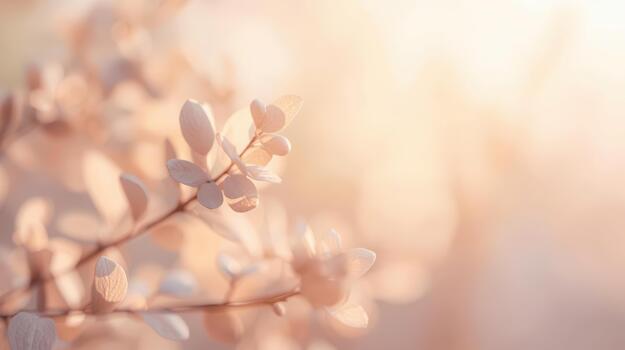 A soft focus image shows delicate leaves on a branch bathed in warm sunlight creating a dreamy and ethereal natural background scene for design photo