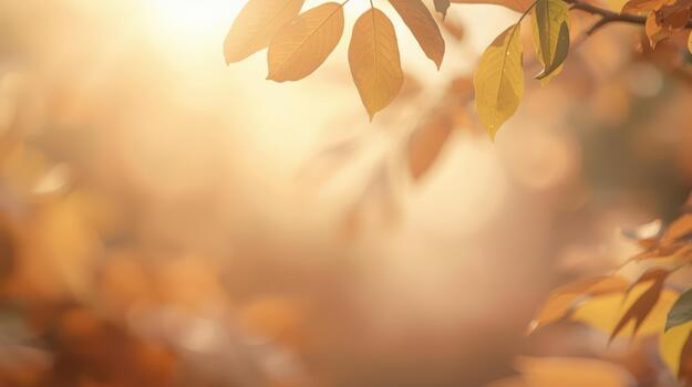 dorado otoño hojas resplandor con calentar luz de sol, creando un suave, soñador, y pacífico resumen naturaleza antecedentes para estacional otoño diseños foto