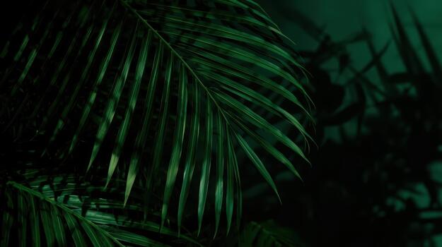 A vibrant close up reveals the intricate details of deep green palm leaves against a softly shadowed backdrop in a luxurious nature setting. photo