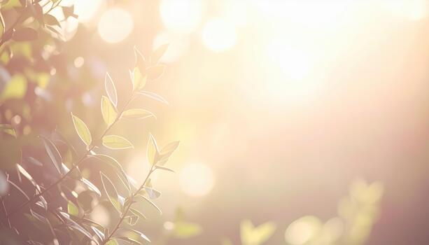 Sunlight streams through green leaves creating a warm and ethereal glow with bokeh, suggesting a tranquil and dreamy summer afternoon scene. photo
