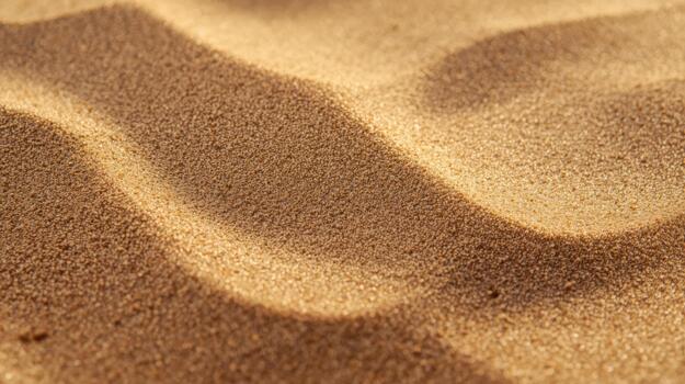 Beautiful pattern of sand dunes created by wind erosion on a beach du a sunny day, presenting a textured landscape background. photo