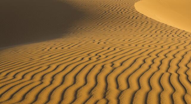 The smooth golden sand dunes stretch across the arid desert landscape, sculpted by the wind into beautiful flowing patterns and textures. photo