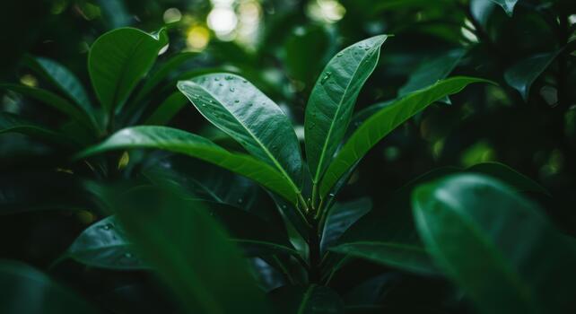 Lush green leaves with detailed textures create a sense of depth and tranquility in a natural outdoor environment on a sunny day so serene. photo