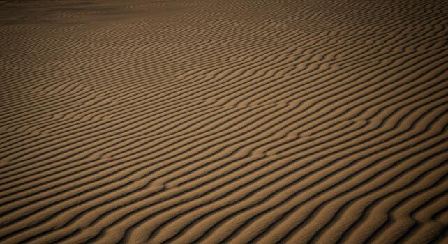 A sandy desert landscape showcases flowing patterns created by the wind across the surface, resulting in rhythmic textural formations. photo