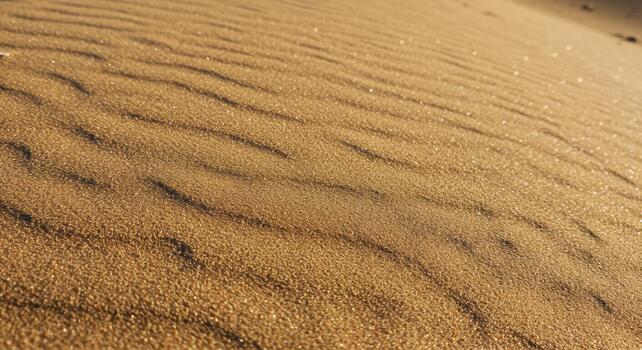 Golden light reflects off the undulating patterns and textures of a vast sand dune landscape creating a serene desert scene. photo