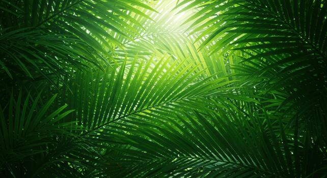Lush green palm fronds create a dense canopy overhead with sunlight filte through the leaves in a tropical paradise atmosphere. photo