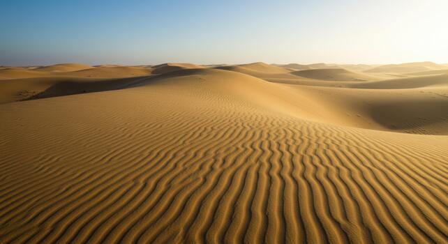Golden sunlight illuminates the undulating sand dunes creating beautiful patterns in vast desert landscape beneath a clear blue sky at daytime. photo