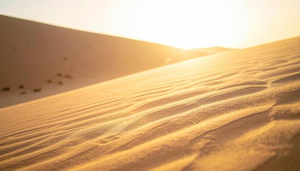Golden light of sunset illuminating the smooth textures and undulating forms of the desert sand dunes creating a mesmerizing landscape. photo