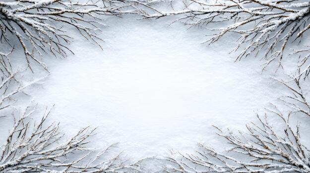 Winter frame with snow covered branches and sky background photo
