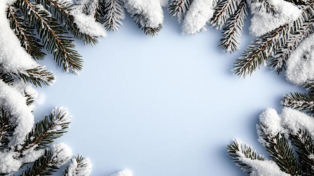 A snow covered fir tree branch is shown in the center of the frame photo